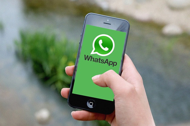WhatsApp Chatbot Grátis: Crie um Sem API e Aumente Suas Vendas