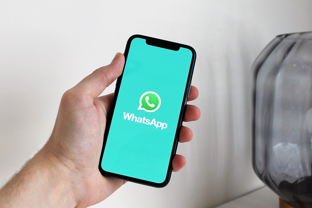 WhatsApp e Vendas: Como Chatbots de Automação Impulsionam o Crescimento